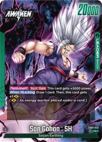 Son Gohan : SH - FB09-049 (FB09-049) [Dual Evolution]
