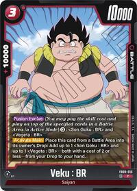 Veku : BR - FB09-016 (FB09-016) [Dual Evolution]