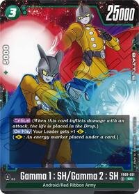 Gamma 1 : SH/Gamma 2 : SH (FB09-051) [Dual Evolution]